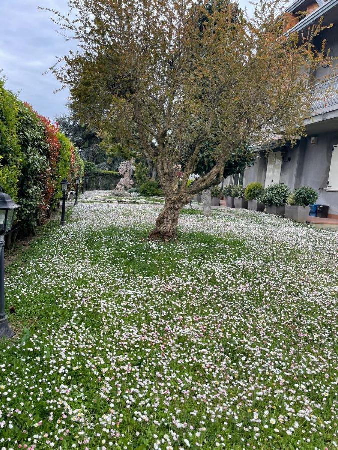 Magnolia Hotell Savignano sul Rubicone Exteriör bild